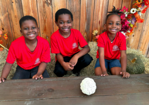 Screenshot 2026-02-27 124749